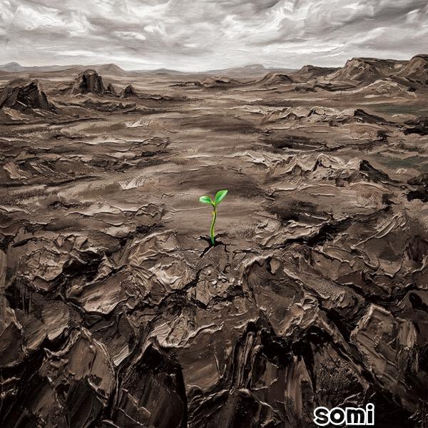 Image Cover